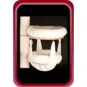 Accessories for cat tree