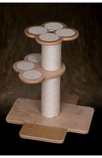 Cat trees for kittens and small cat breeds – exclusive