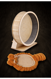 Play and Activity for Cats