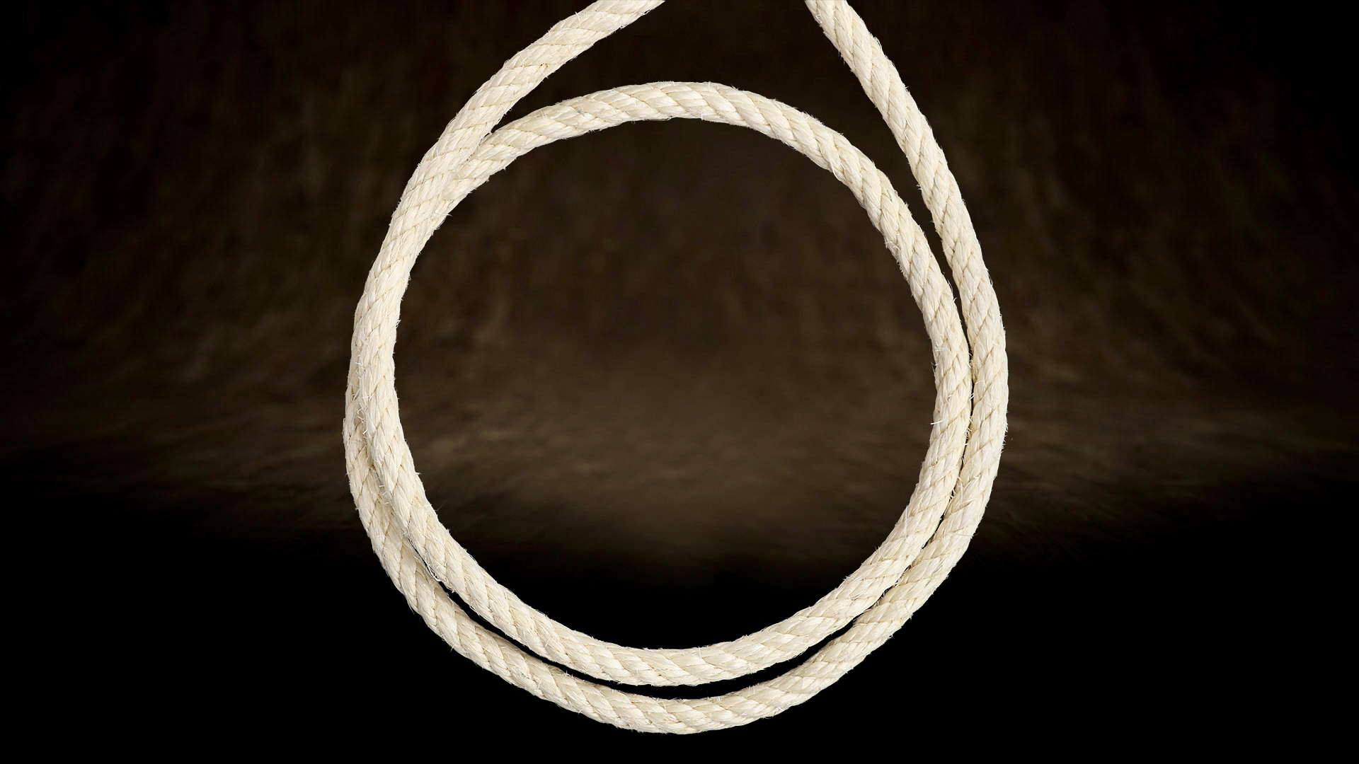 Close-up of 12 mm four-strand sisal rope - the tight twist gives it rigidity and resistance to intensive scratching.Close-up of 12 mm four-strand sisal rope - the tight twist gives it rigidity and resistance to intensive scratching.Close-up of 12 mm four-strand sisal rope - the tight twist gives it rigidity and resistance to intensive scratching.