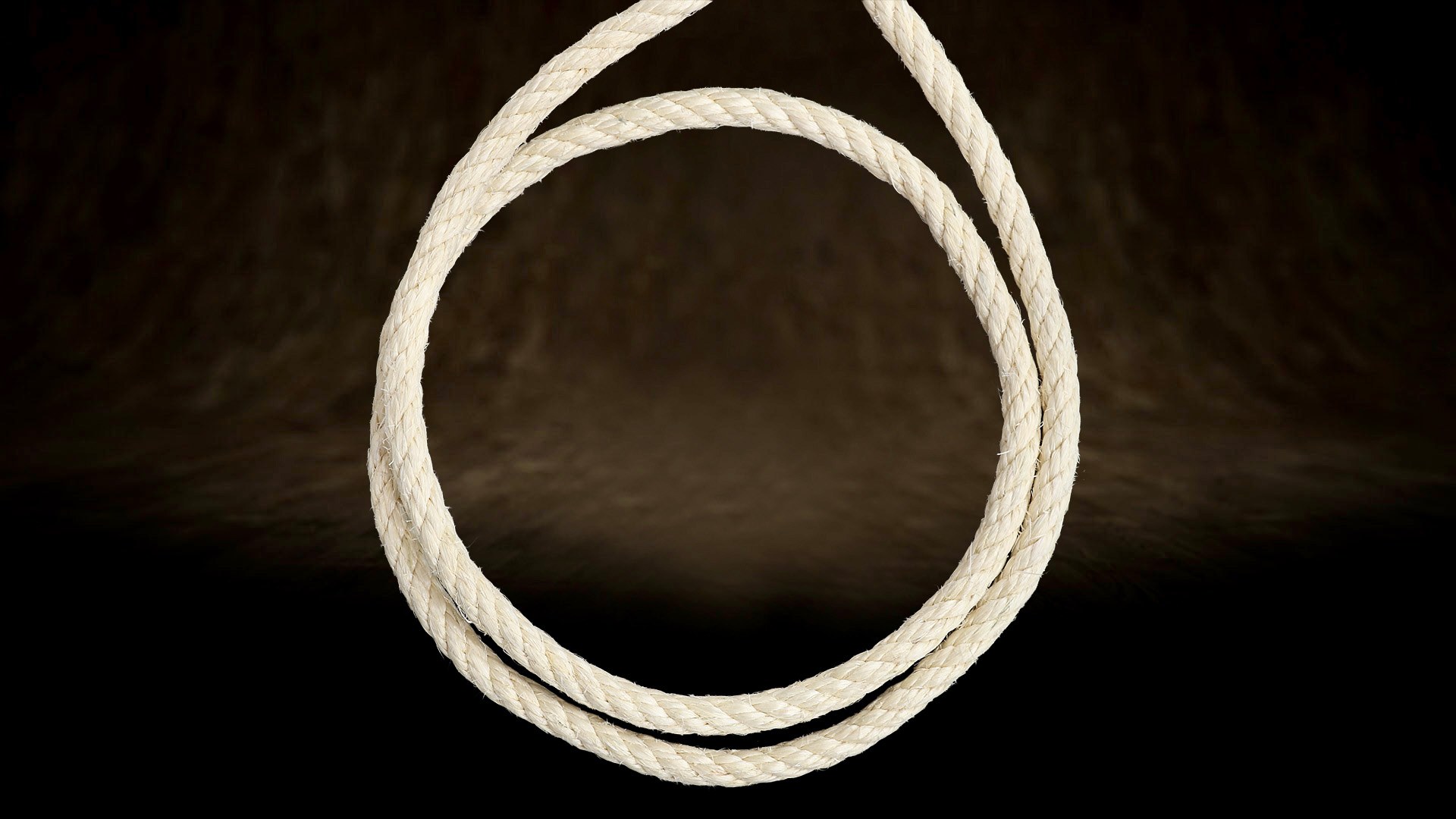 Close-up of four-strand sisal rope approximately 12 mm in diameter. A tight twist and even strands have a major influence on the durability of the scratching surface.